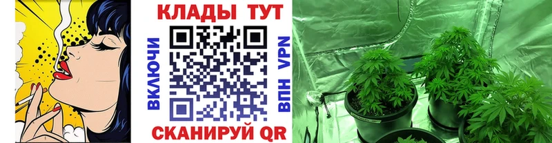 Где купить Курчалой ГАШ  МАРИХУАНА  СК  Меф 