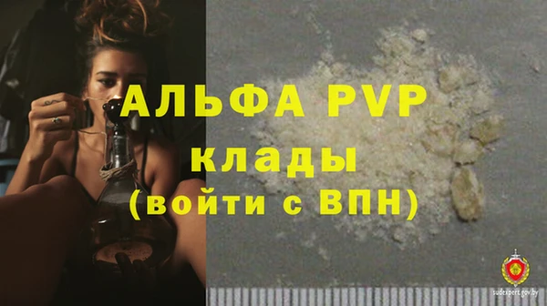 СК Алексин