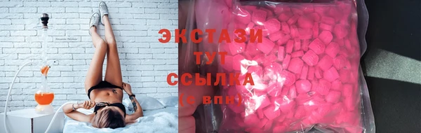 СК Алексин