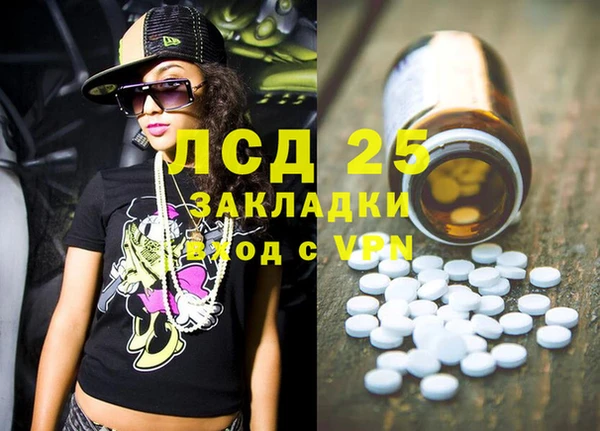 СК Алексин