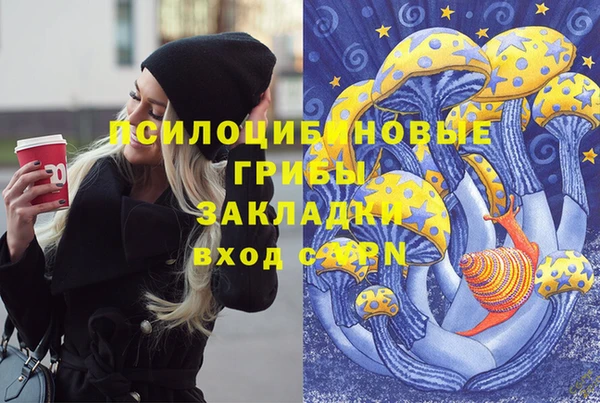 дживик Алексеевка