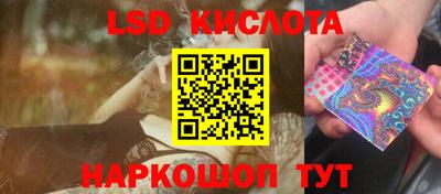 эйфоретик Кимры