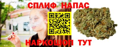 эйфоретик Кимры