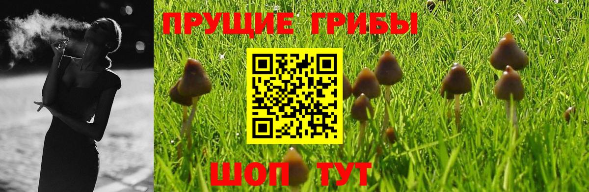 Галлюциногенные грибы MAGIC MUSHROOMS Курчалой